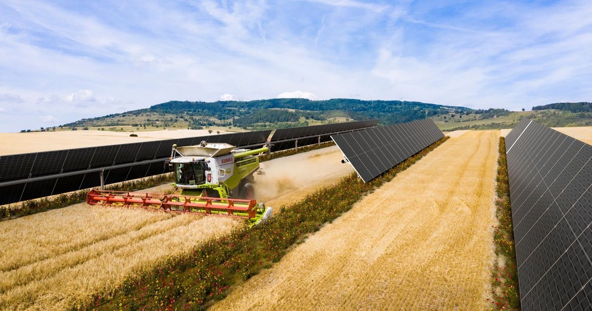 Behind Spains First Agri PV Solar Park By BayWa R E Energy Magazine