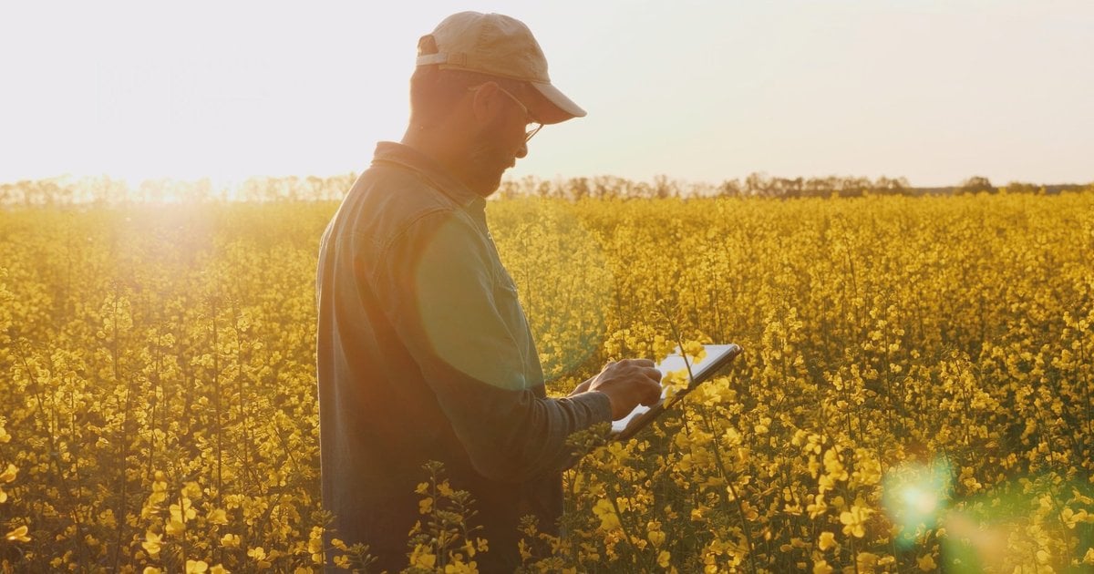 How Is PepsiCo Improving Soil Health In Its Supply Chain? – Food Digital