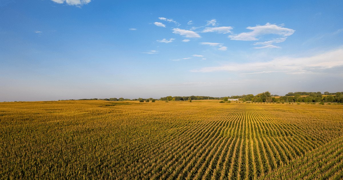 Food Systems face Crisis as Climate Threatens Global Supply | Food and ...
