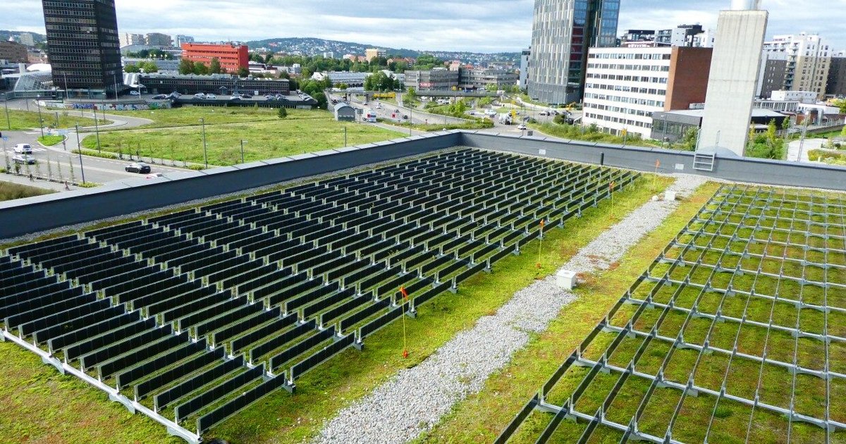 Amazon Sustainability Accelerator S 2025 Climate Cohort