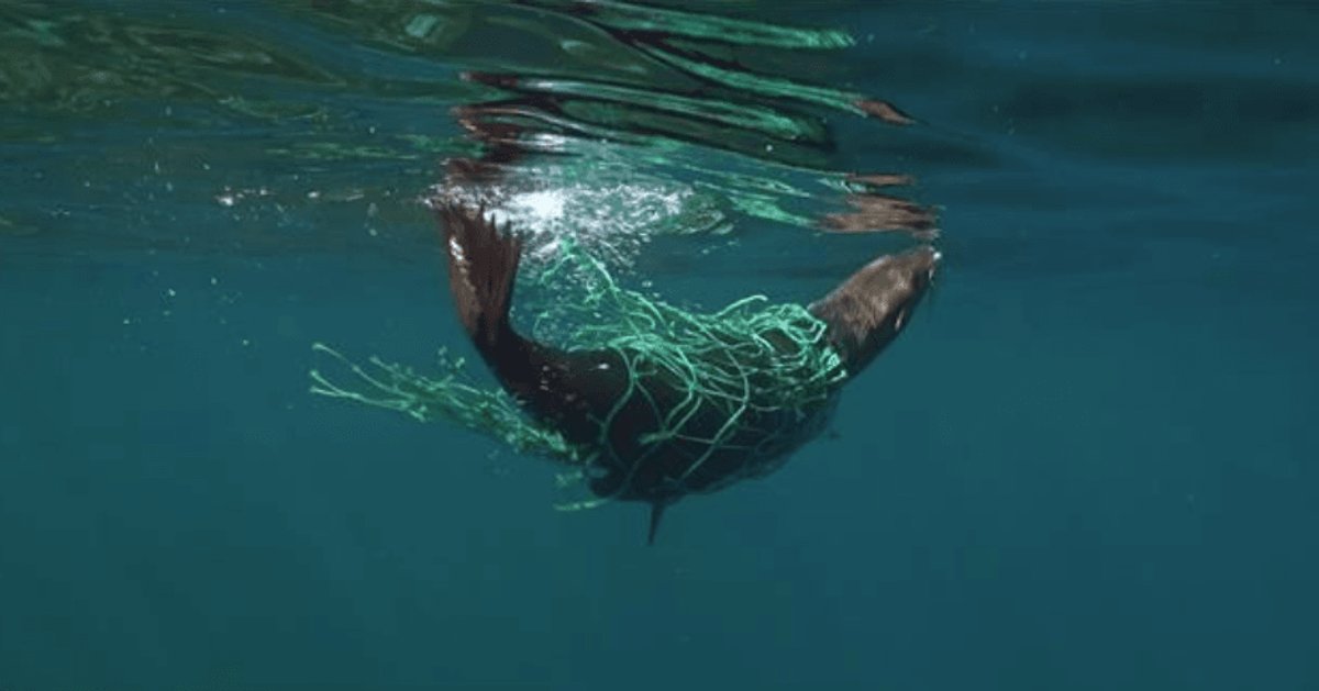 How Microsoft AI is Leading Fight to Find Subsea Ghost Nets