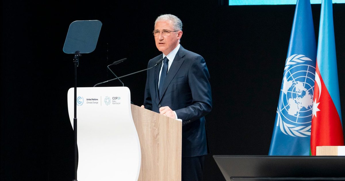 COP29: Does the UN Climate Conference Need Reform? | Sustainability ...