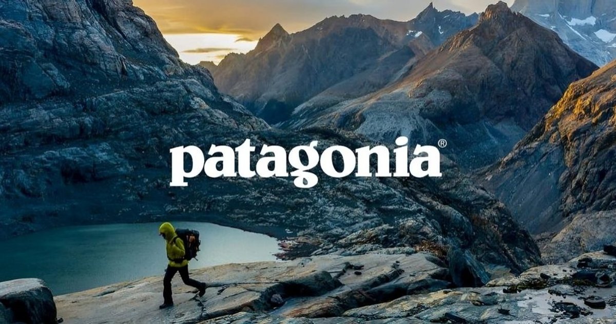 patagonia international net worth 2018 - Ilustrasi 3