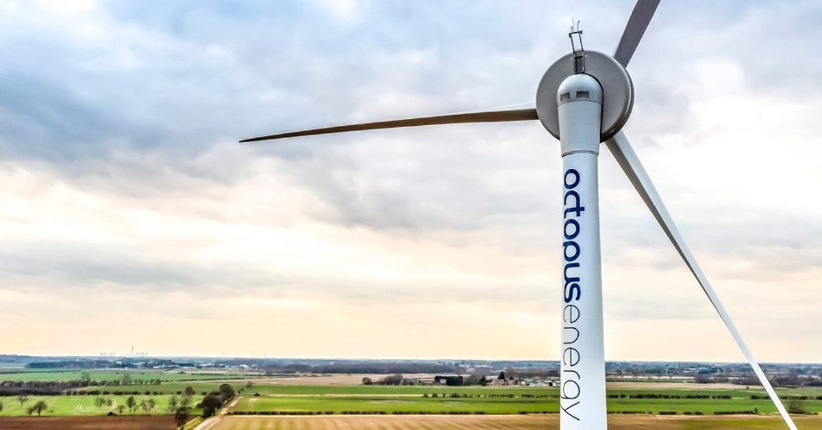 Octopus: Sustainability Core of UK’s Leading Energy Supplier ...