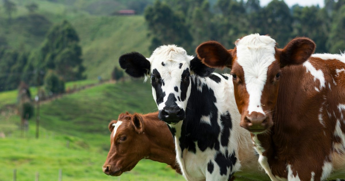 Why Food Industry Will Applaud Alfa Laval's Innovation Hub