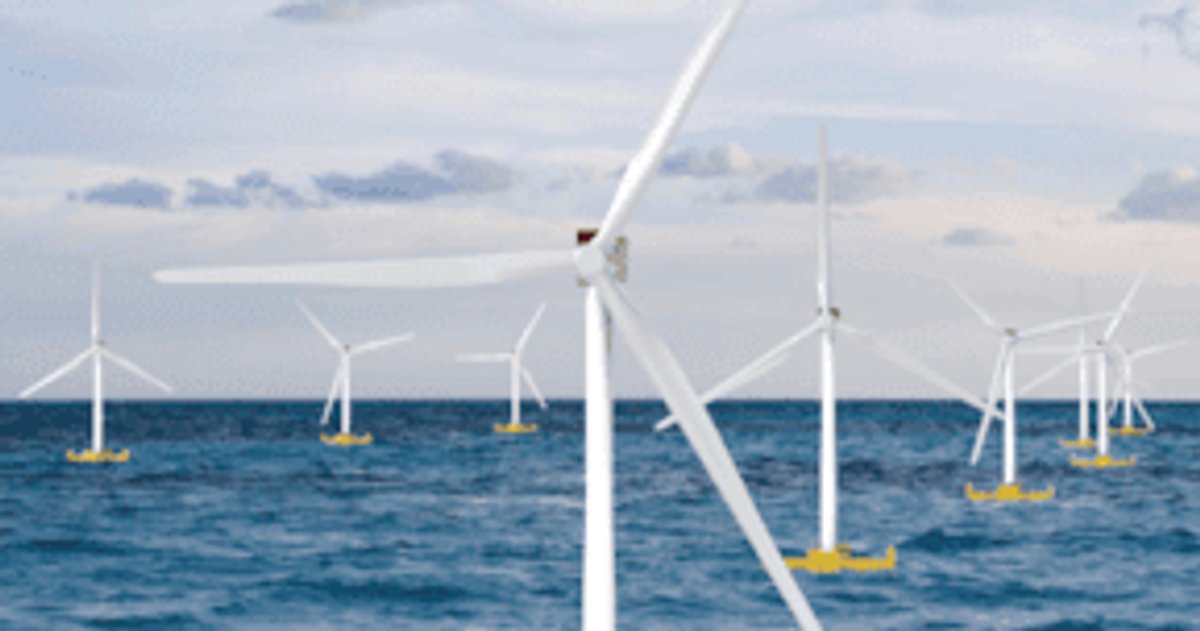 Perception Into Distinctive Enterprise for Floating Offshore Wind Farm