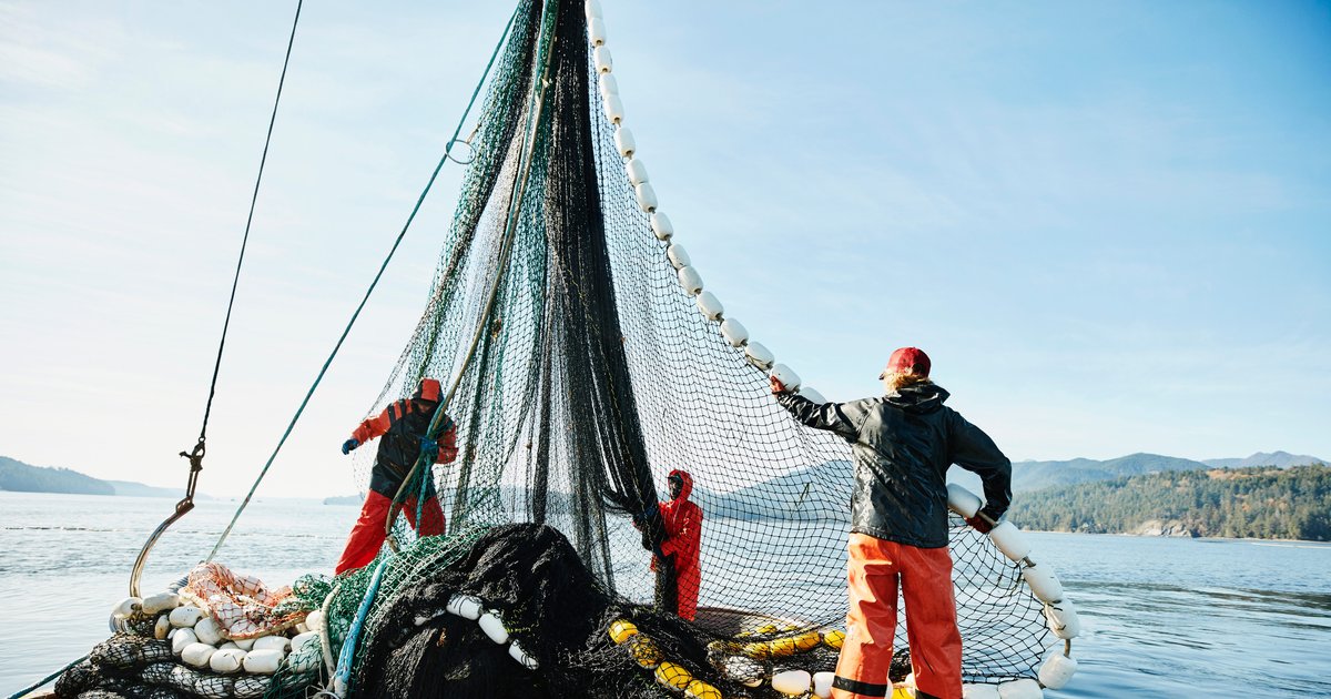 Why Sustainable Seafood Matters This Chinese New Year