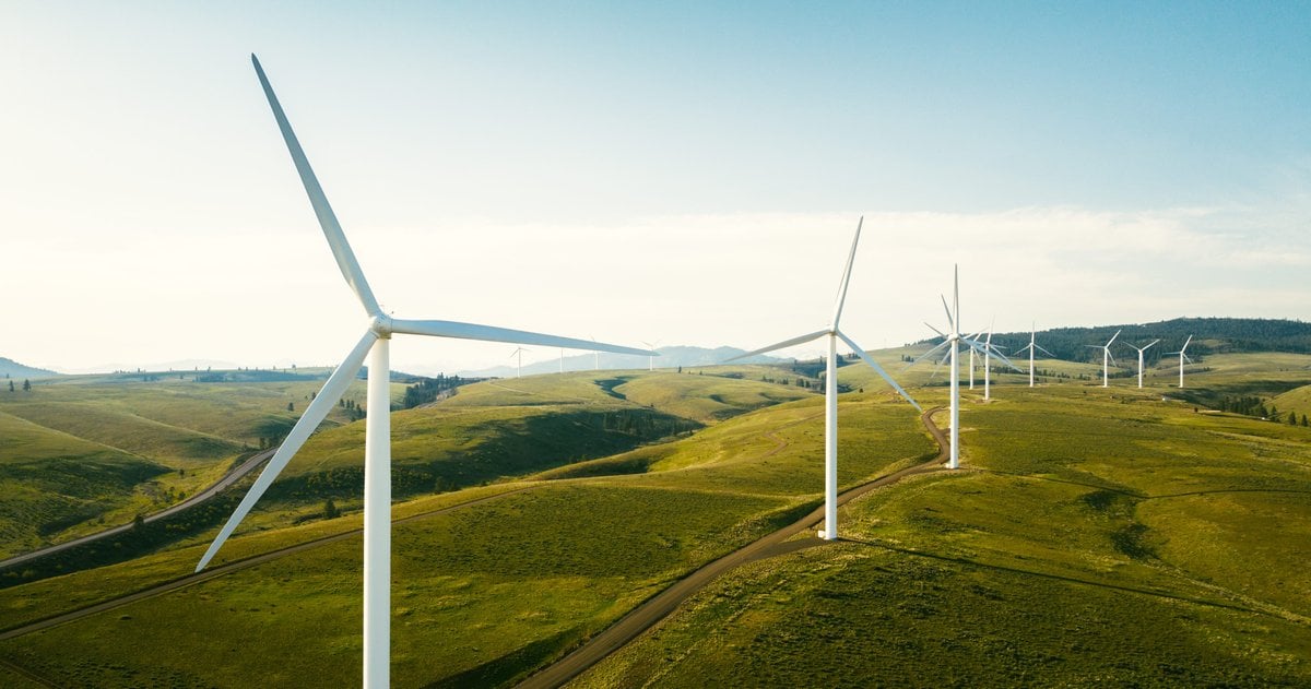 Harnessing Innovation for a More Sustainable Future