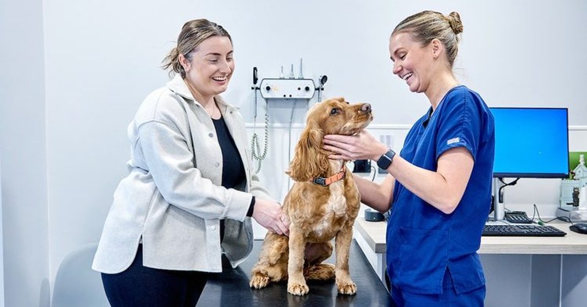 How CVS Group Cuts Medical Waste in Vetinary Practise