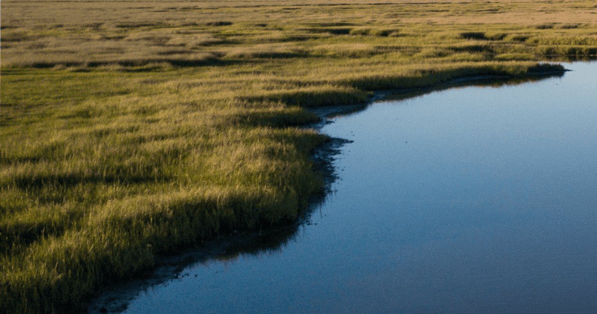 Inside Amazon's Global Water Replenishment Strategy | Food and Drink ...