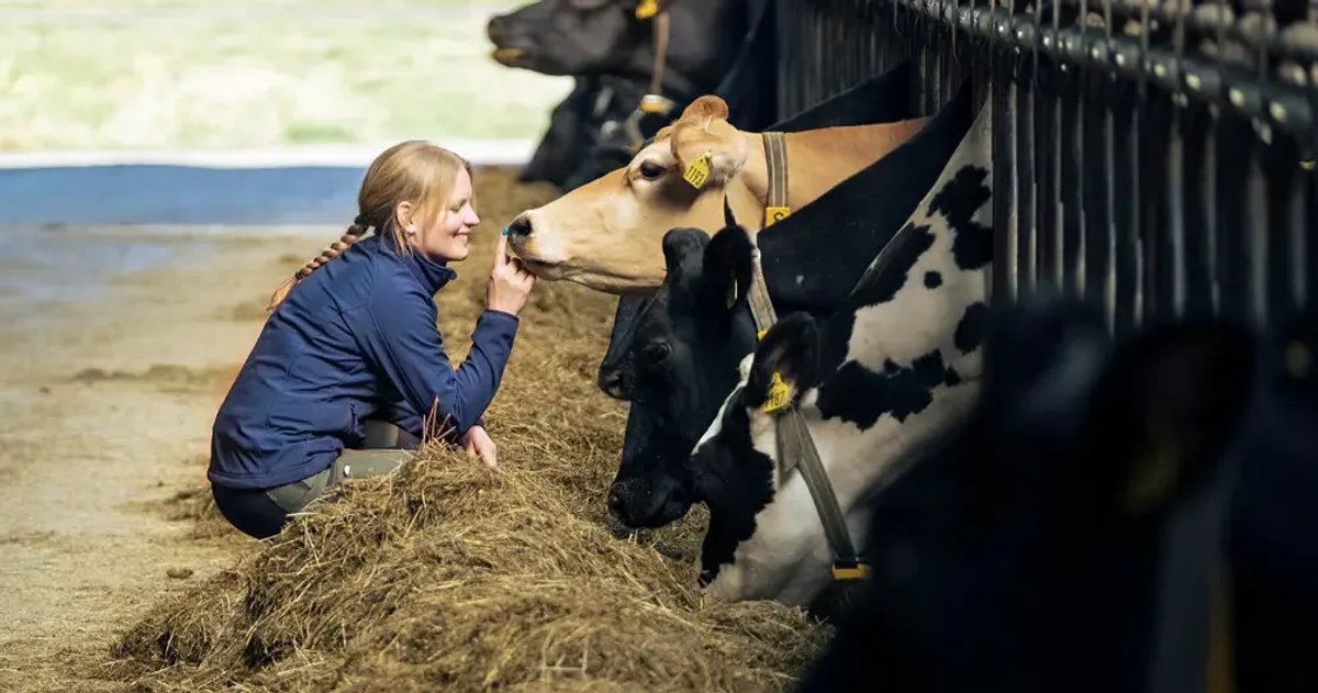 Barry Callebaut Partners with Arla to Cut UK Dairy Emissions