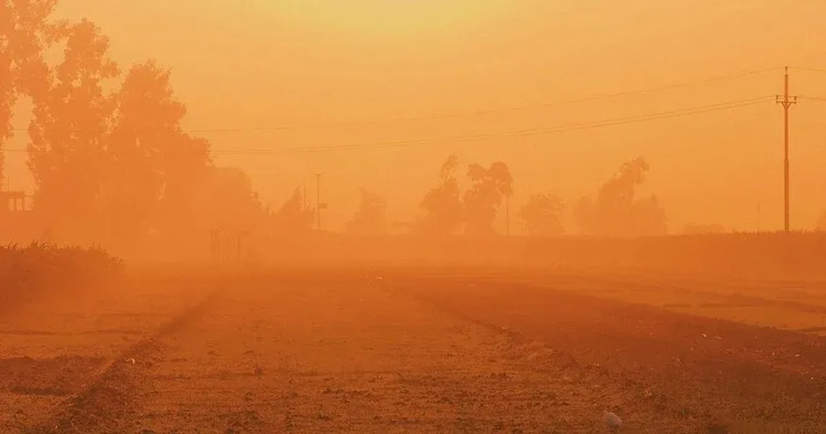 Allianz Trade: How is Extreme Heat Damaging Businesses?