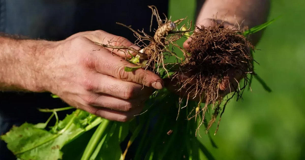 This Week's Top Food & Drink Stories: Nestlé, PepsiCo & Mars