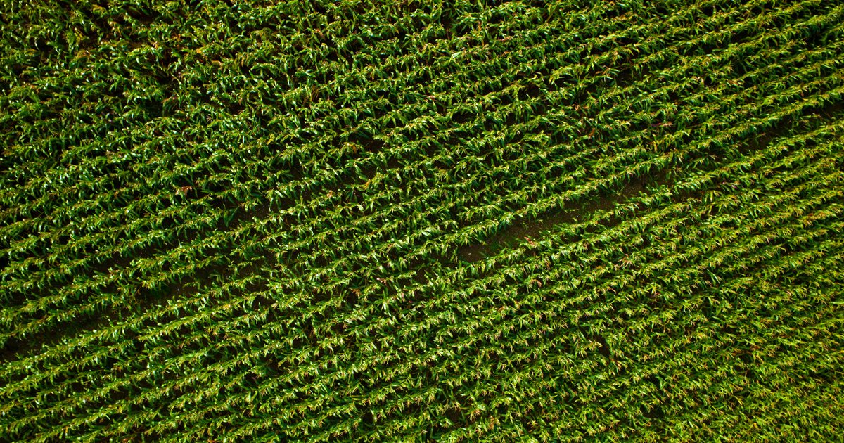 Purina Europe: Partnerships for Regenerative Agriculture