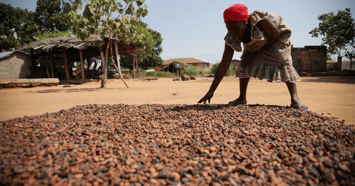 Mars & Ofi: Partnering for Net Zero Cocoa Farming in Ecuador