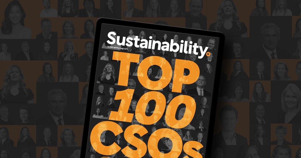 Sustainability Magazine: Looking Back On The Top 100 CSOs ...