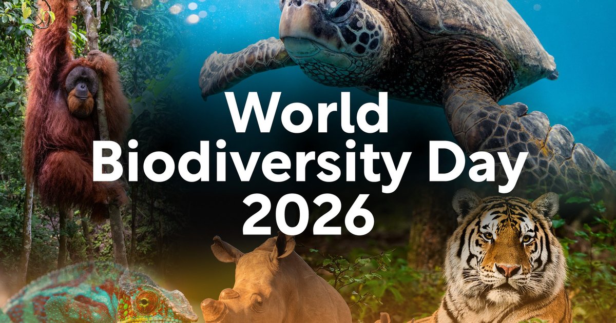 World Biodiversity Day 2026: Local Action for Global Impact ...