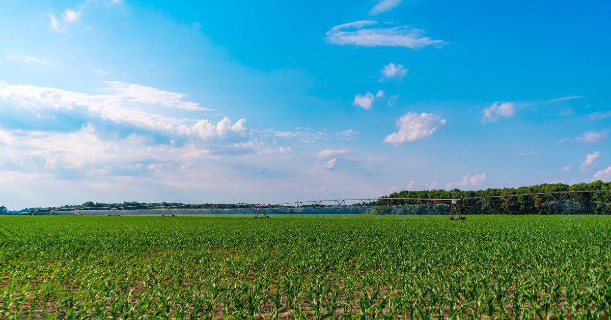 Cropin & Google Cloud: Tackling Climate Risks in Procurement