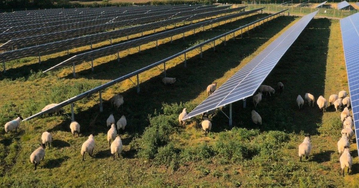 UK Approves Low Carbon Solar Farm Amid North Sea Oil Debate