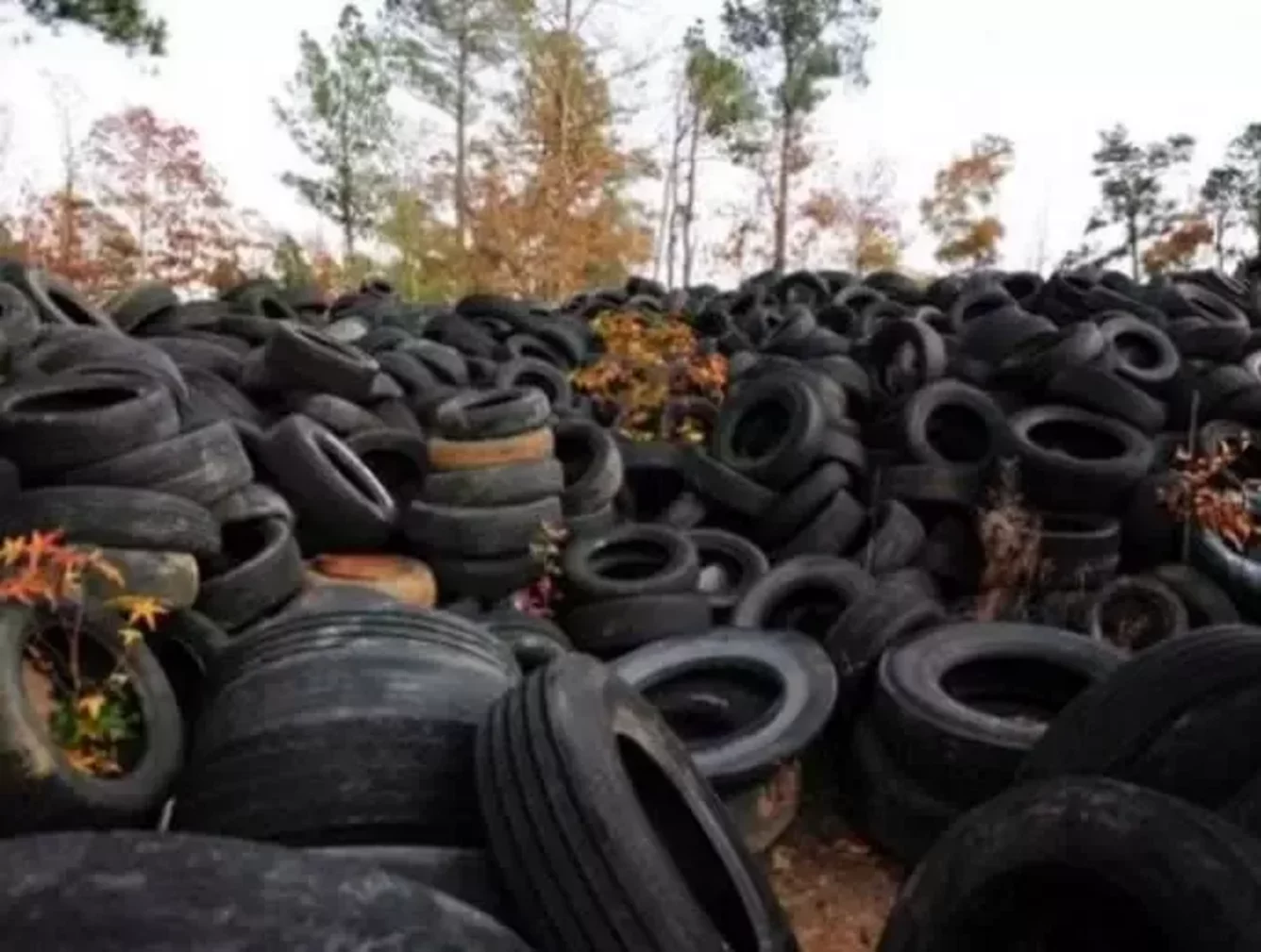 Утилизировать шины в москве. Отходы резины. Старые шины. Старая резина. Утилизировать шины в москве.