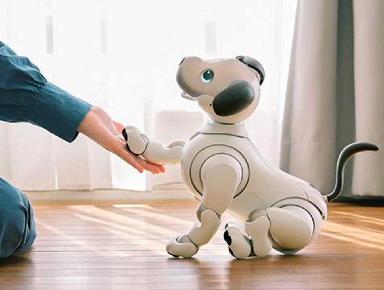 Spot emo robot intelligent emotional interactive voice ai desktop