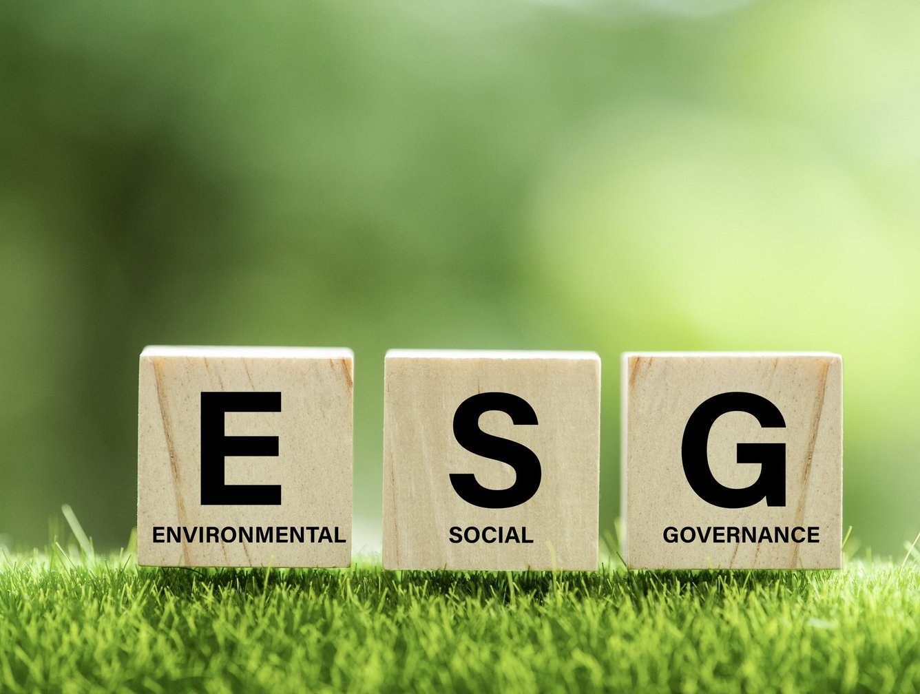 A beginner's guide to developing your company's ESG strategy ...