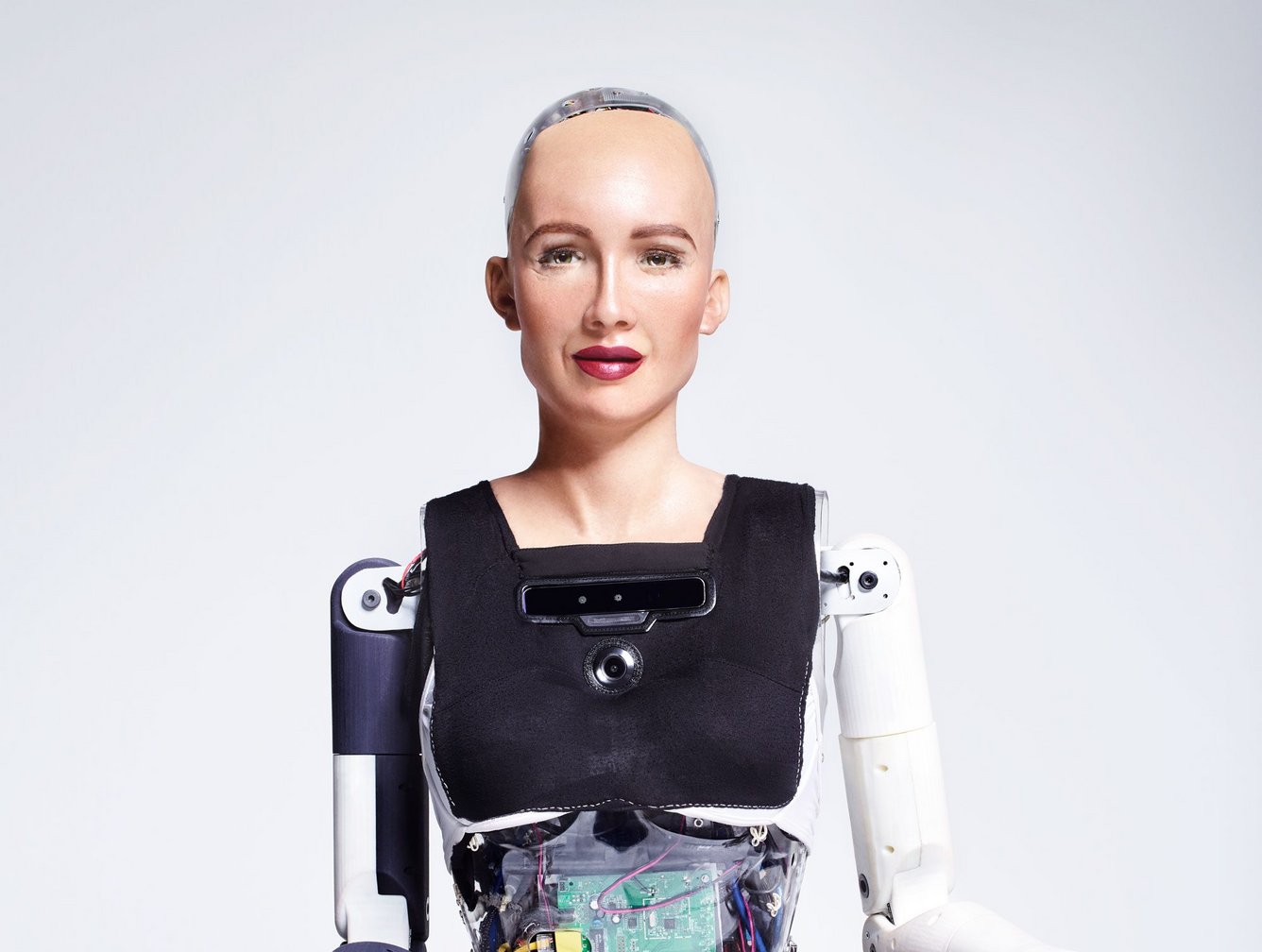 Sophia best sale robot making