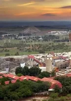 Butalar ortida yashirin kamera bor.