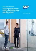 Building solutions for utility companies and industry cloud