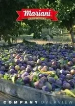 Mariani