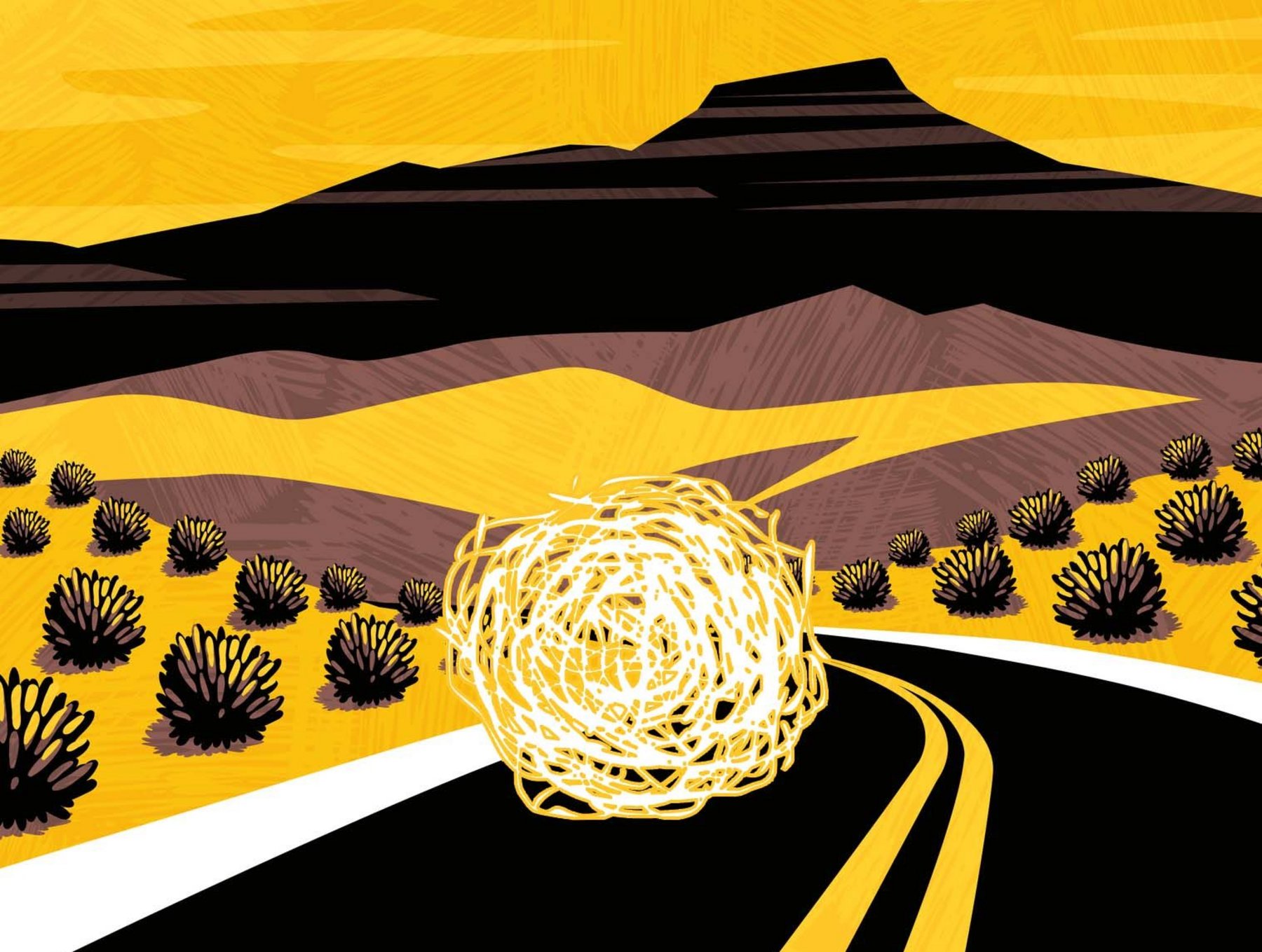 So What Actually is a Tumbleweed, Anyway, And How Did it Become Associated  with the American West?