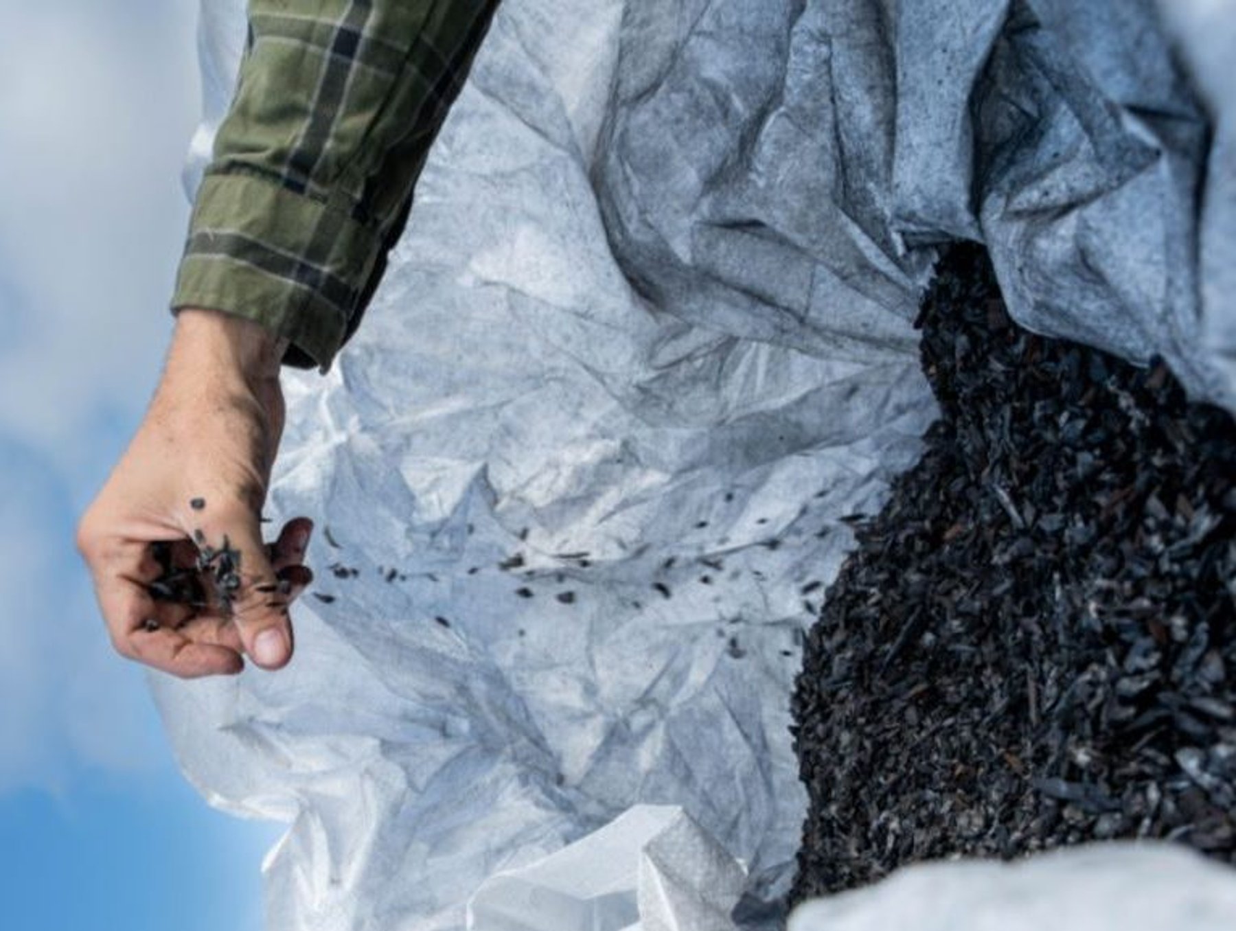 Why is Google Investing in Biochar Offtakes? | Sustainability Magazine