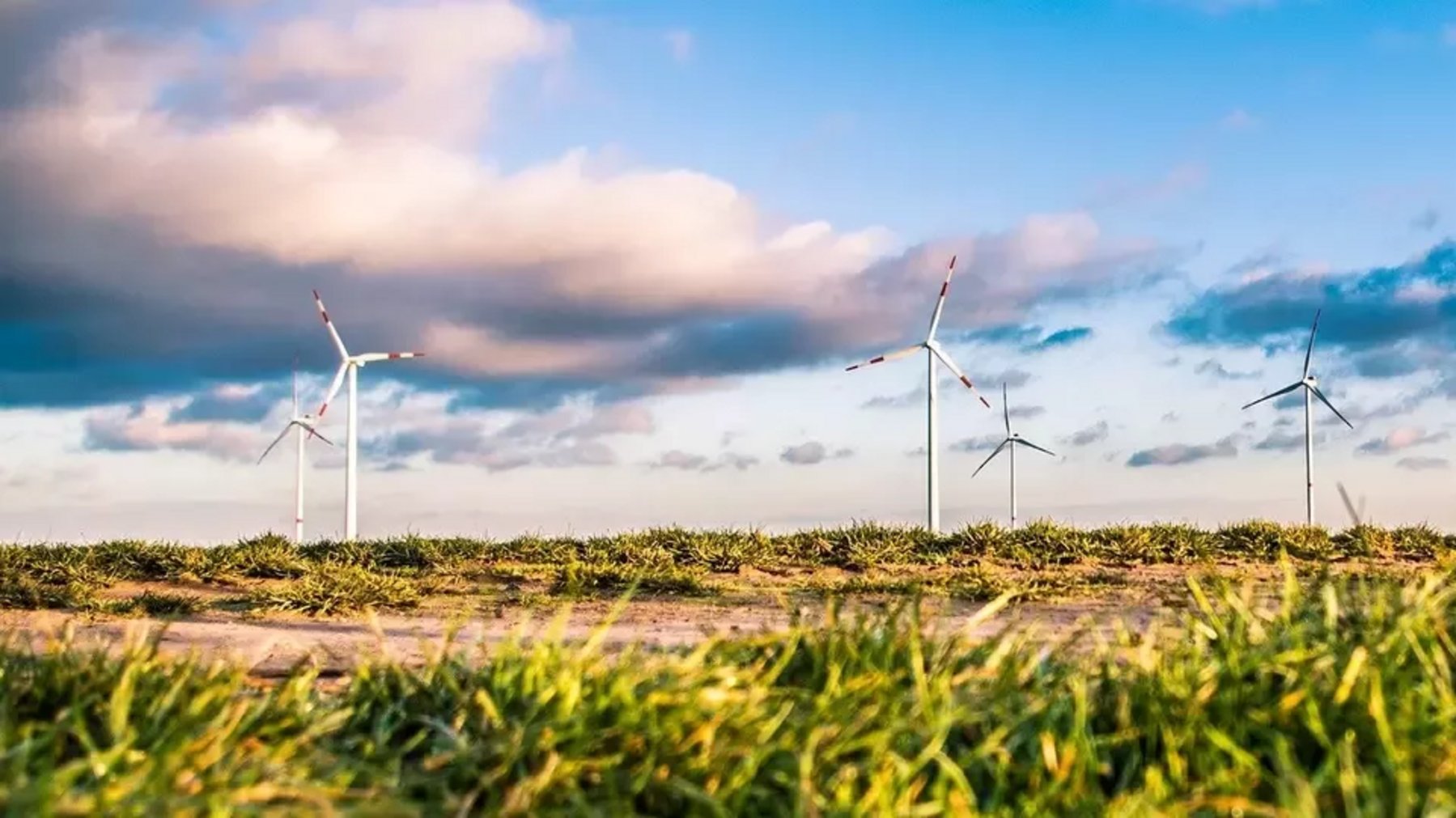 Jermyn Street Design The cost of a sustainable supply chain