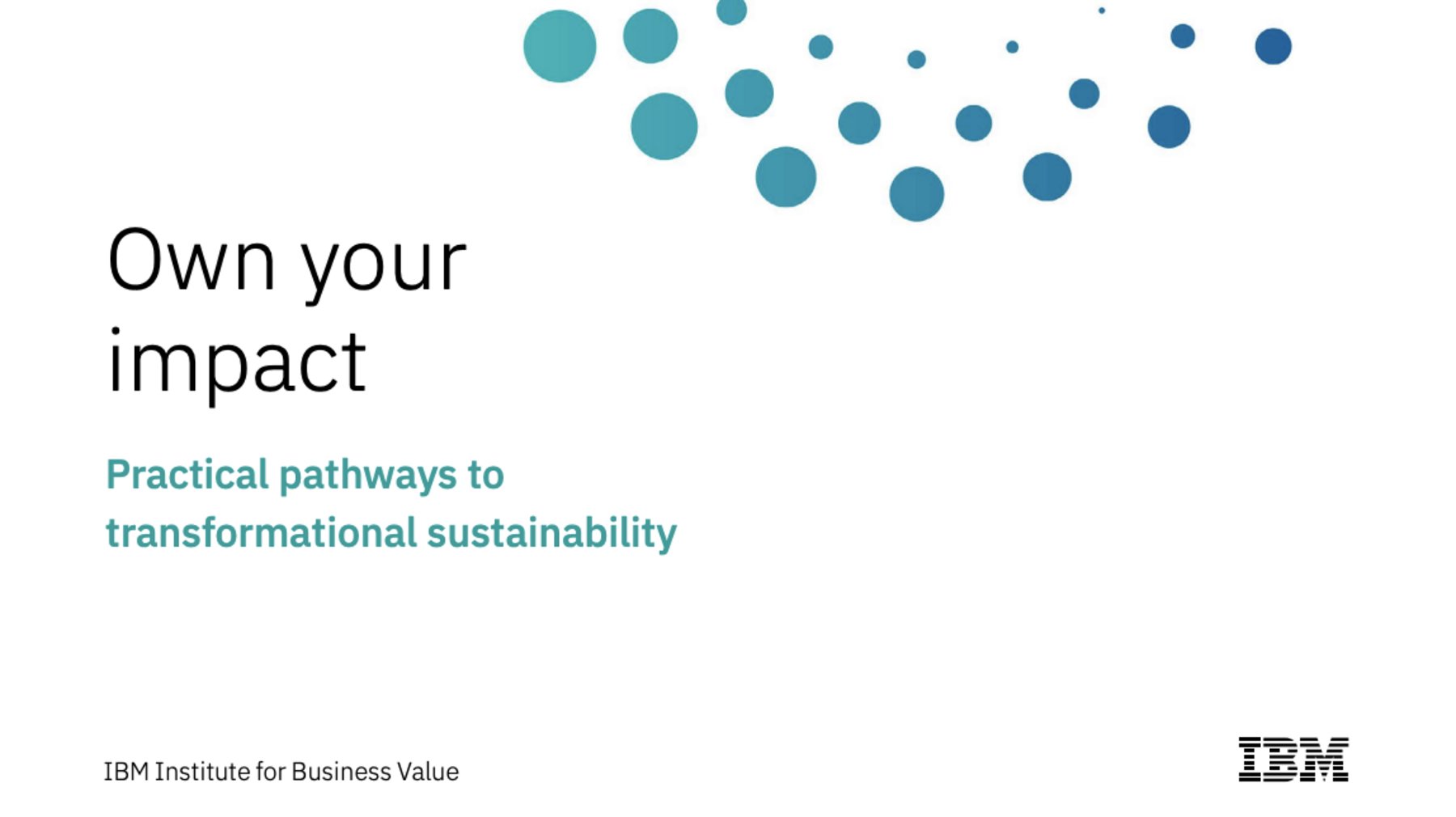 IBM – Sustainability Is Top Priority And Challenge For CEOs | Business ...