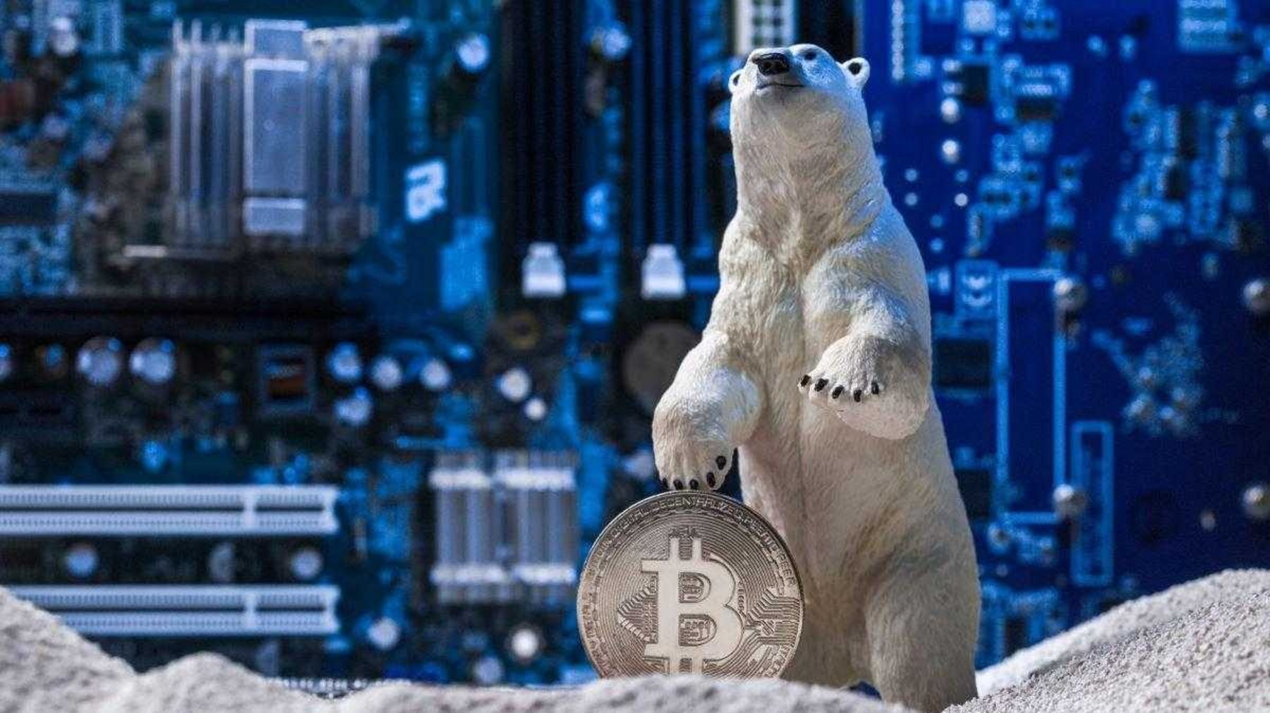 what does crypto winter mean