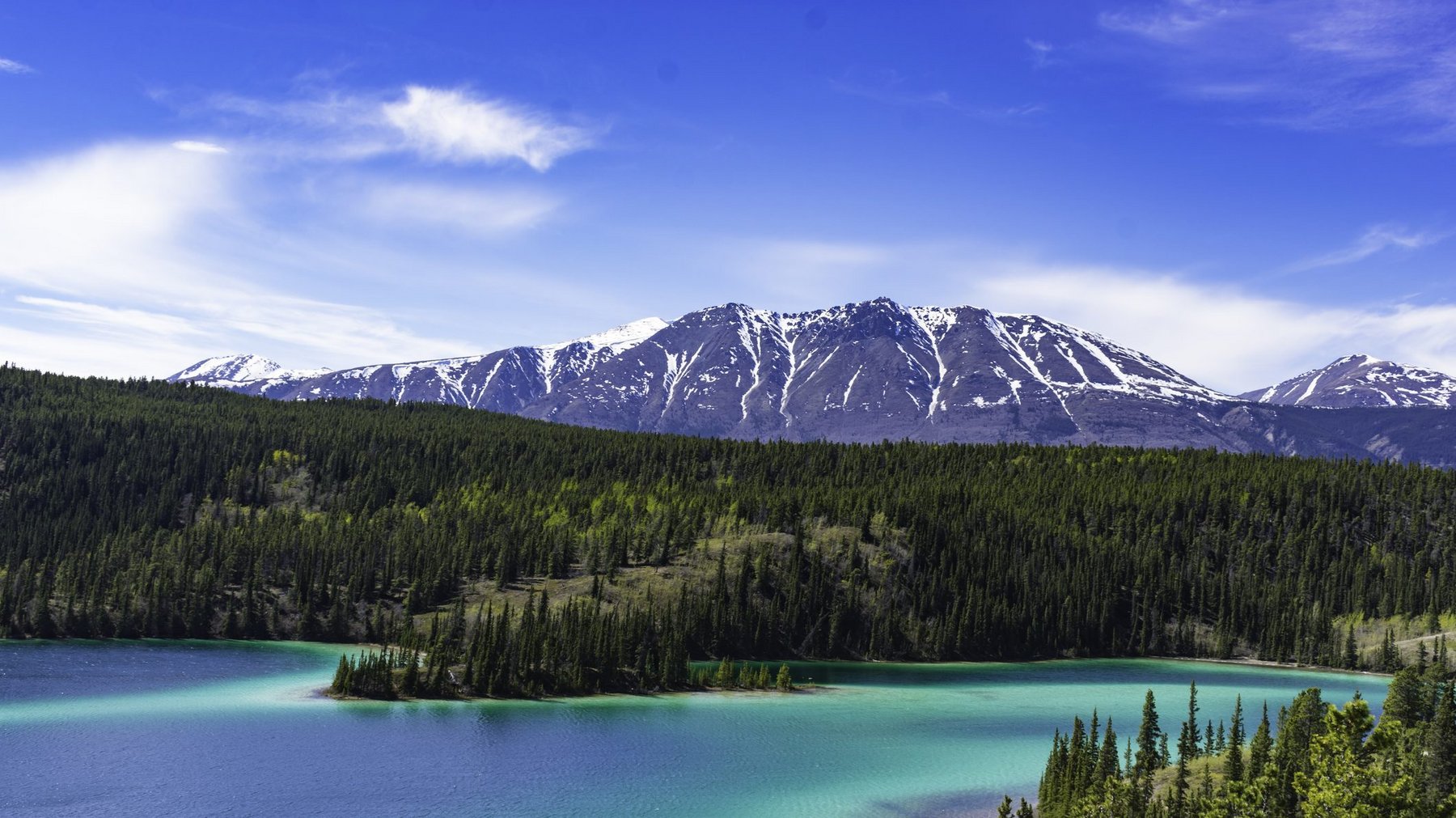 US BLM & 200milelong Ambler Mining District access road Mining Digital