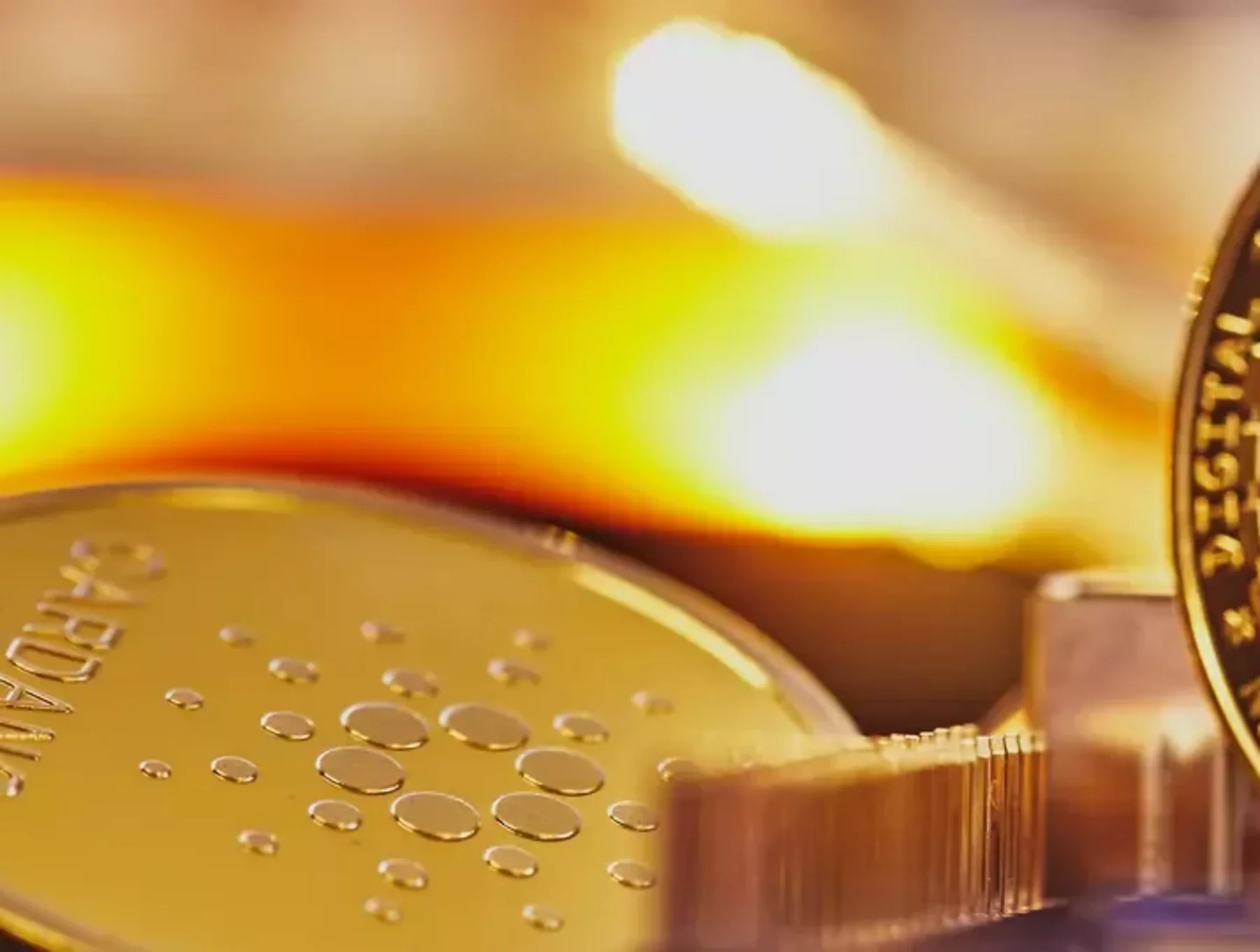 How large enterprises are driving digital currency adoption | Business  Chief North America