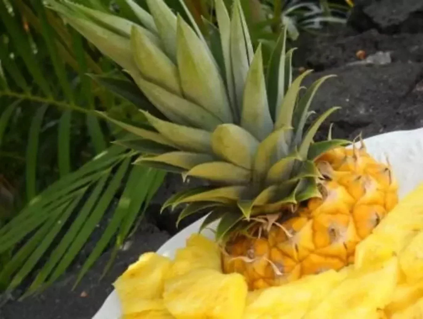 How to Ripen a Pineapple - The Foodie Physician