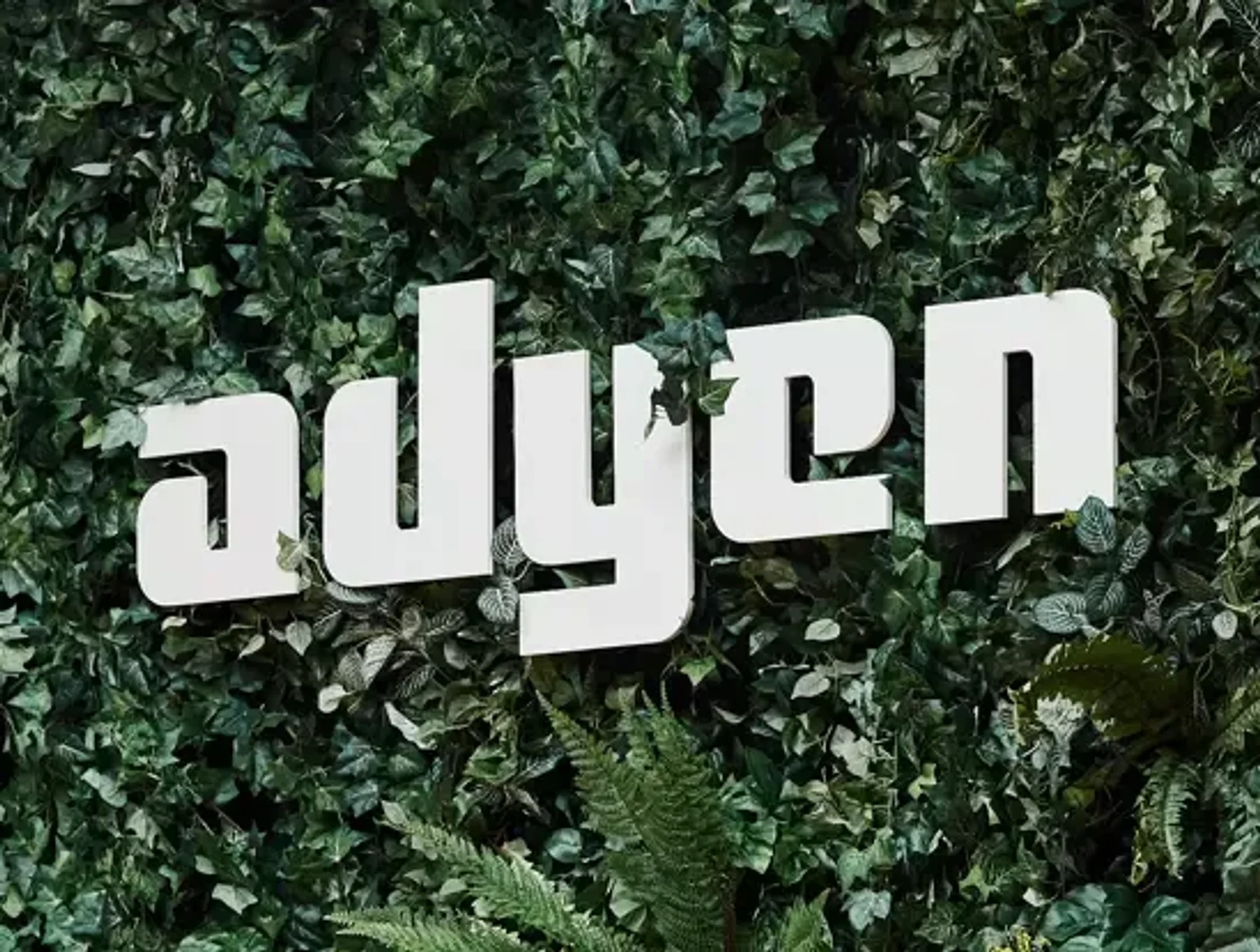 Adyen Shares Plunge 16% After Revenue Miss and Cautious Outlook