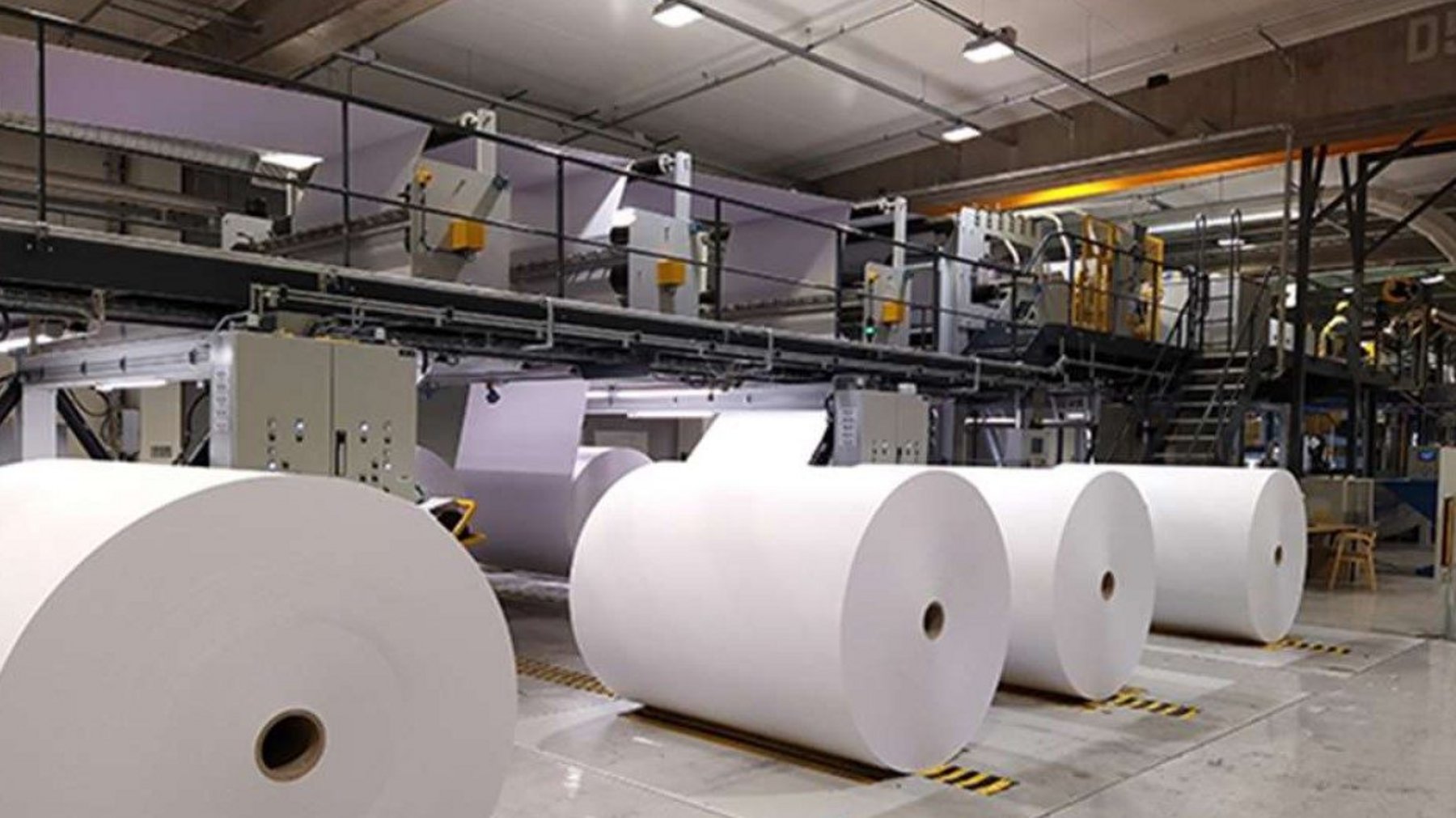 CPG packaging supply problems sees Lidl buy paper mill Supply Chain