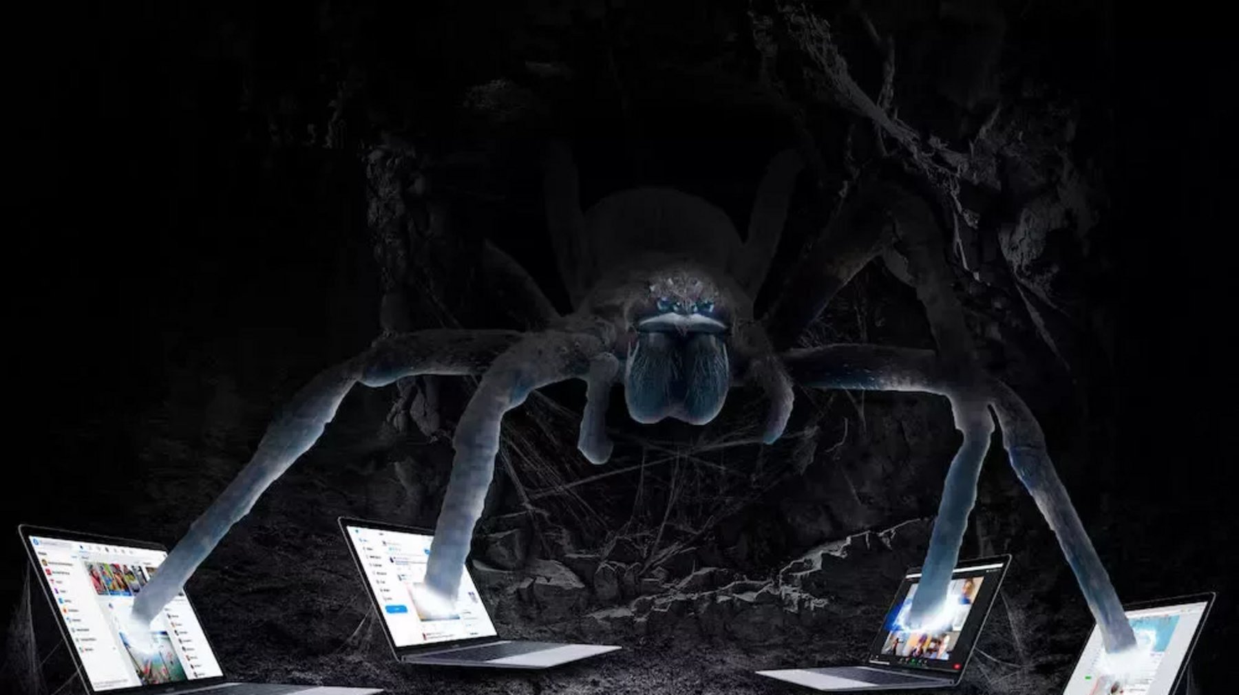 Fright Night When the Scary Spiders come out to play! Cyber Magazine