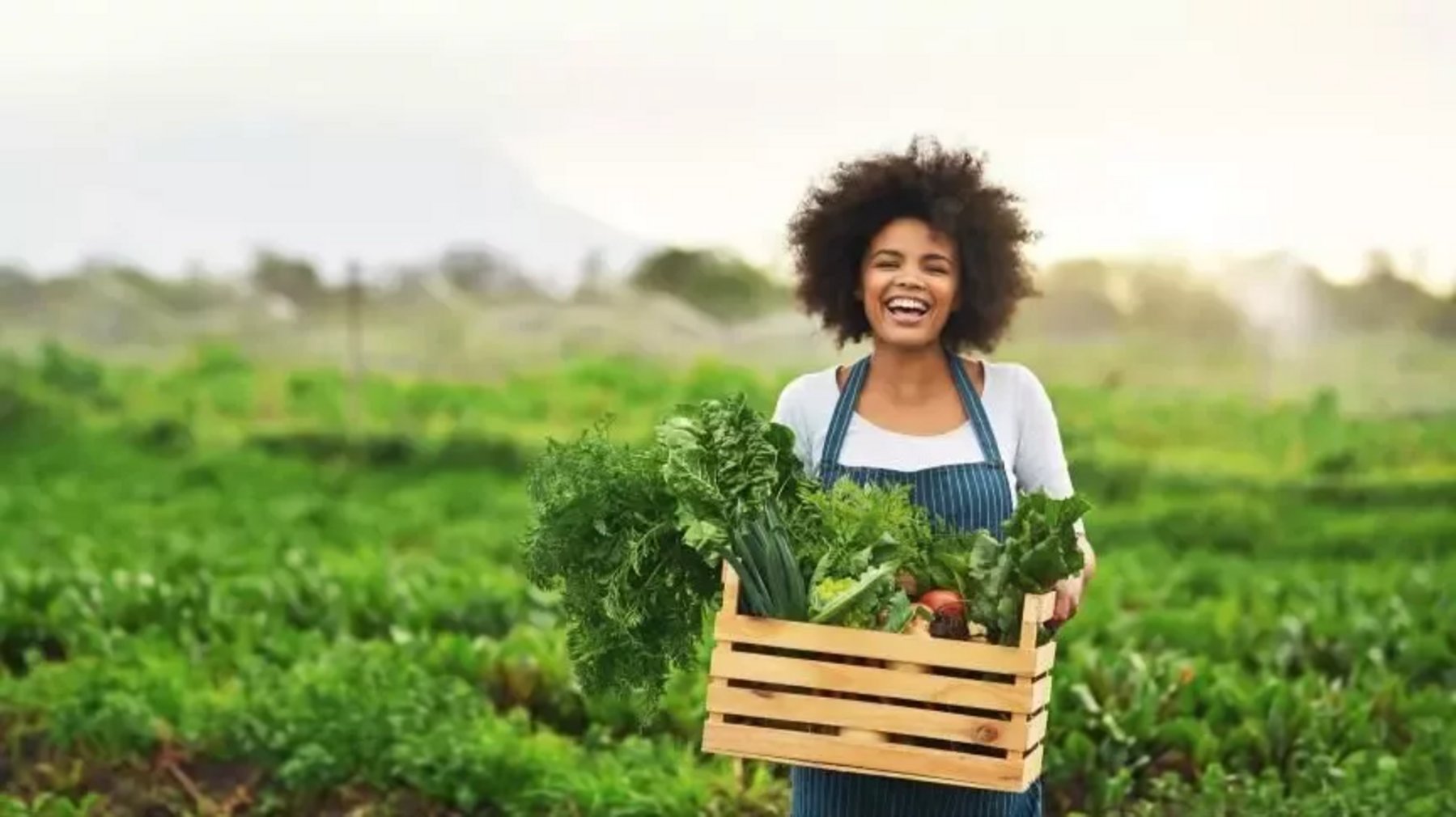 Top 10 Most Sustainable Countries in the Middle East and Africa Business Chief EMEA