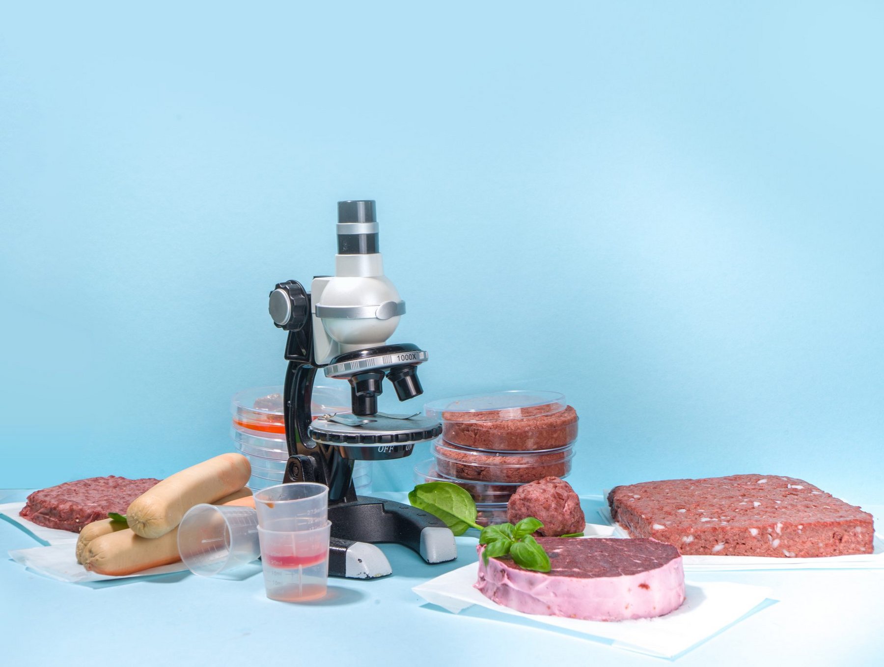Lab Grown Meat Gets Fda Approval Lorraine Stephens Kabar