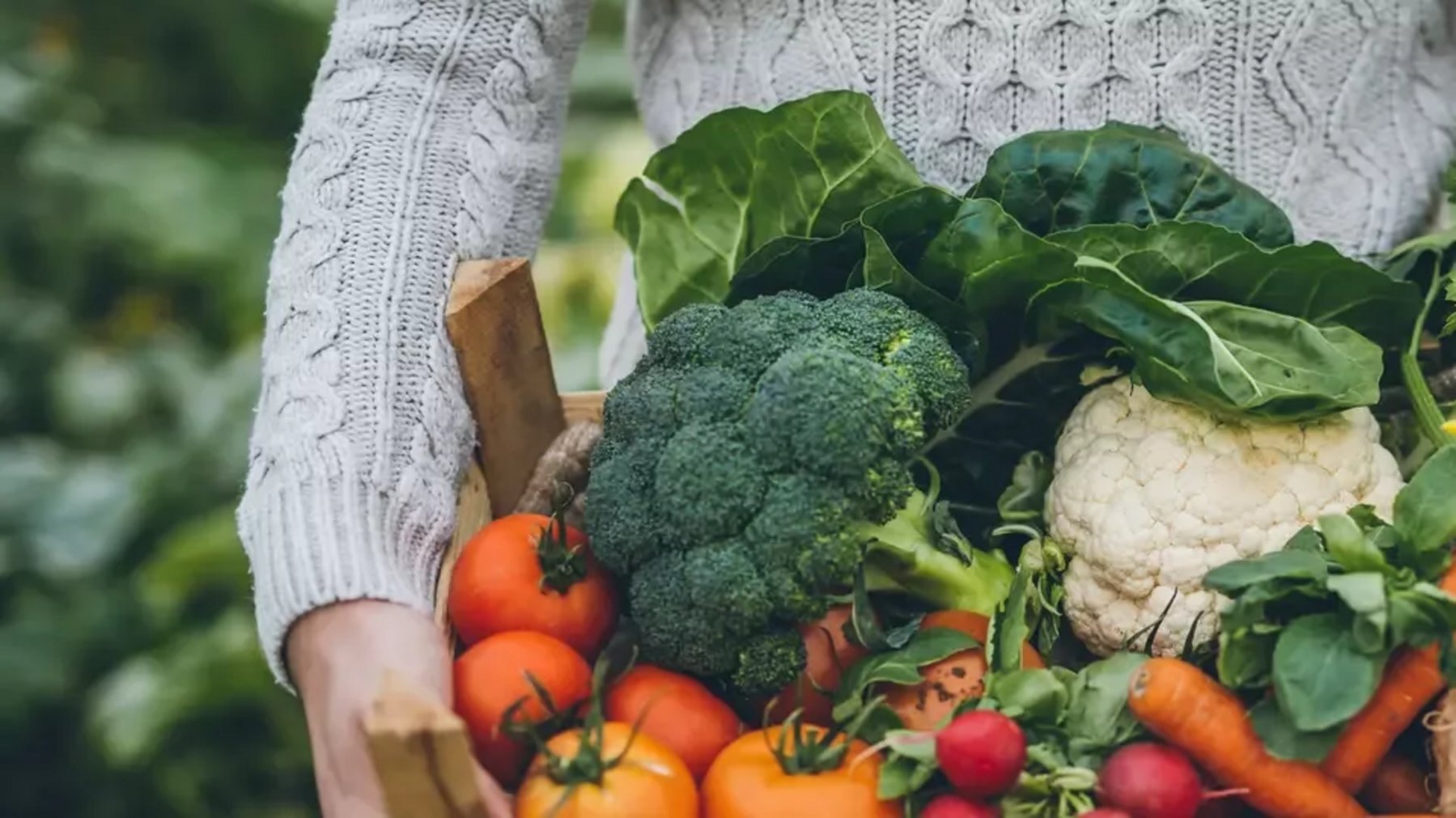 How is Lidl championing product sustainability assurance