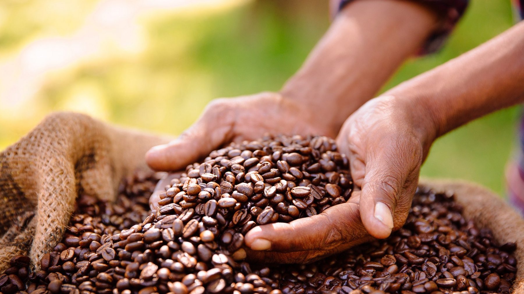 How is Nestlé making coffee farming more sustainable? Sustainability