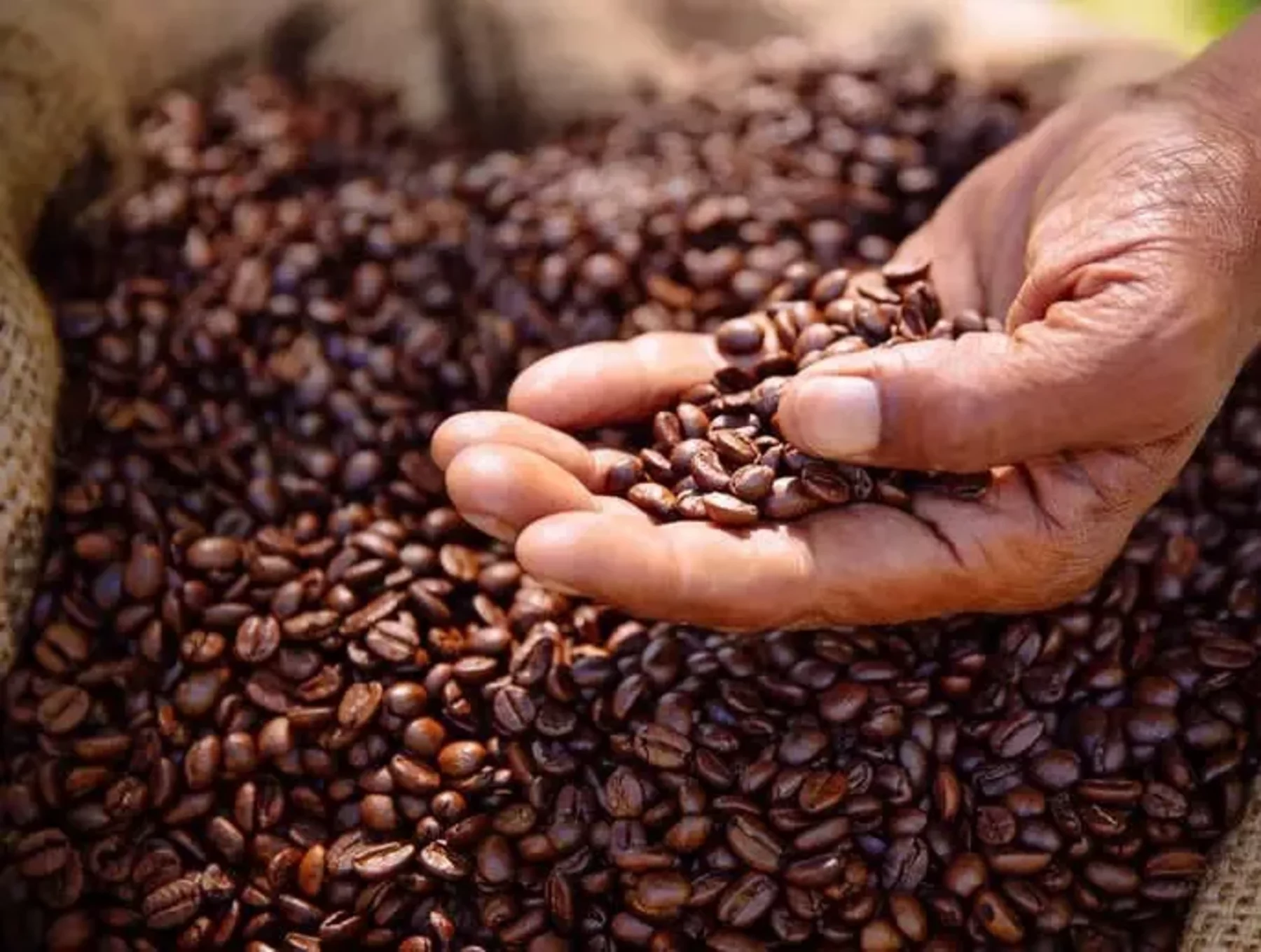 McDonald&rsquo;s achieves 100% sustainably sourced coffee in the US 