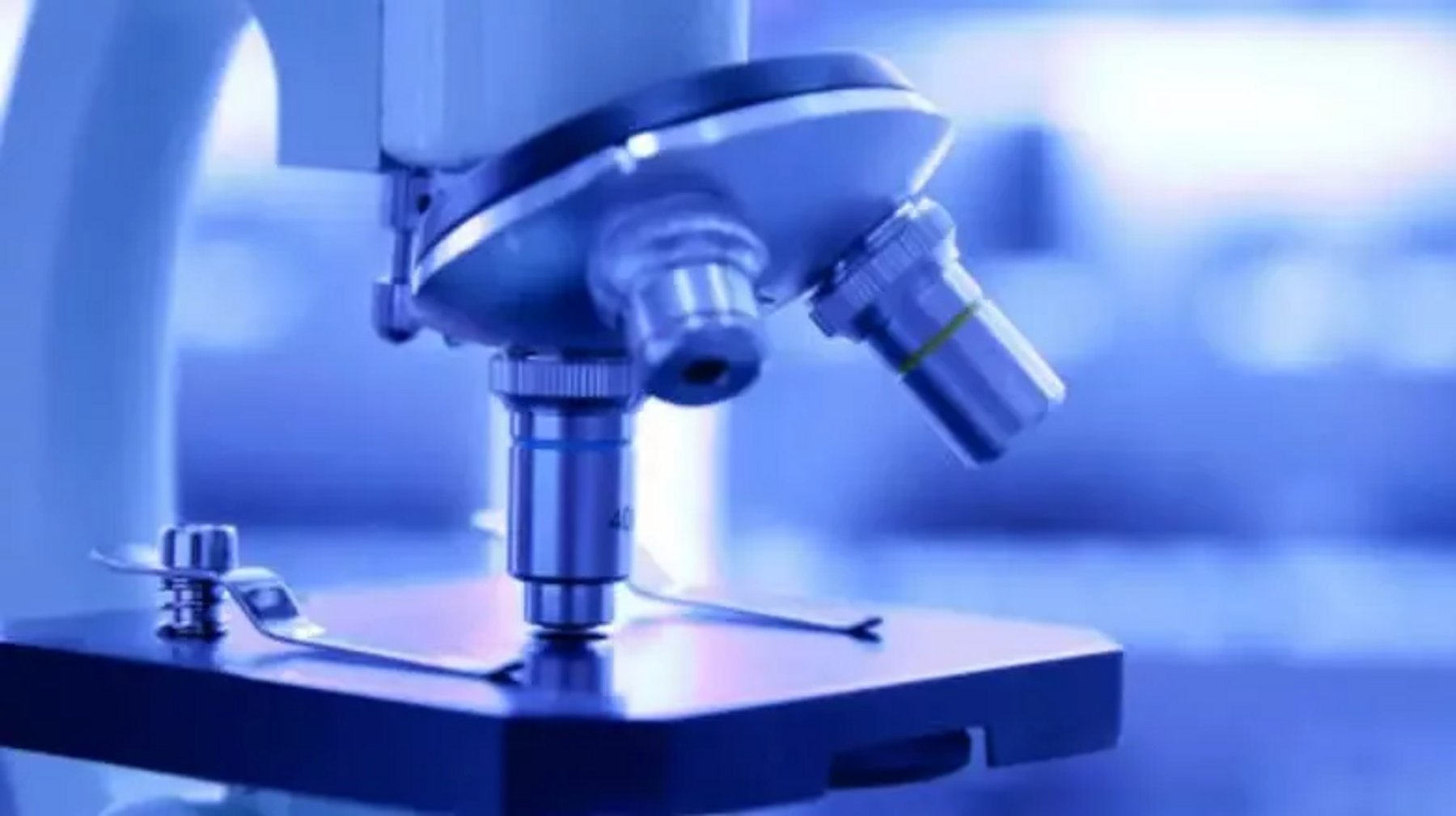 New discovery in antifungal drugs from O.S.U. Healthcare Digital