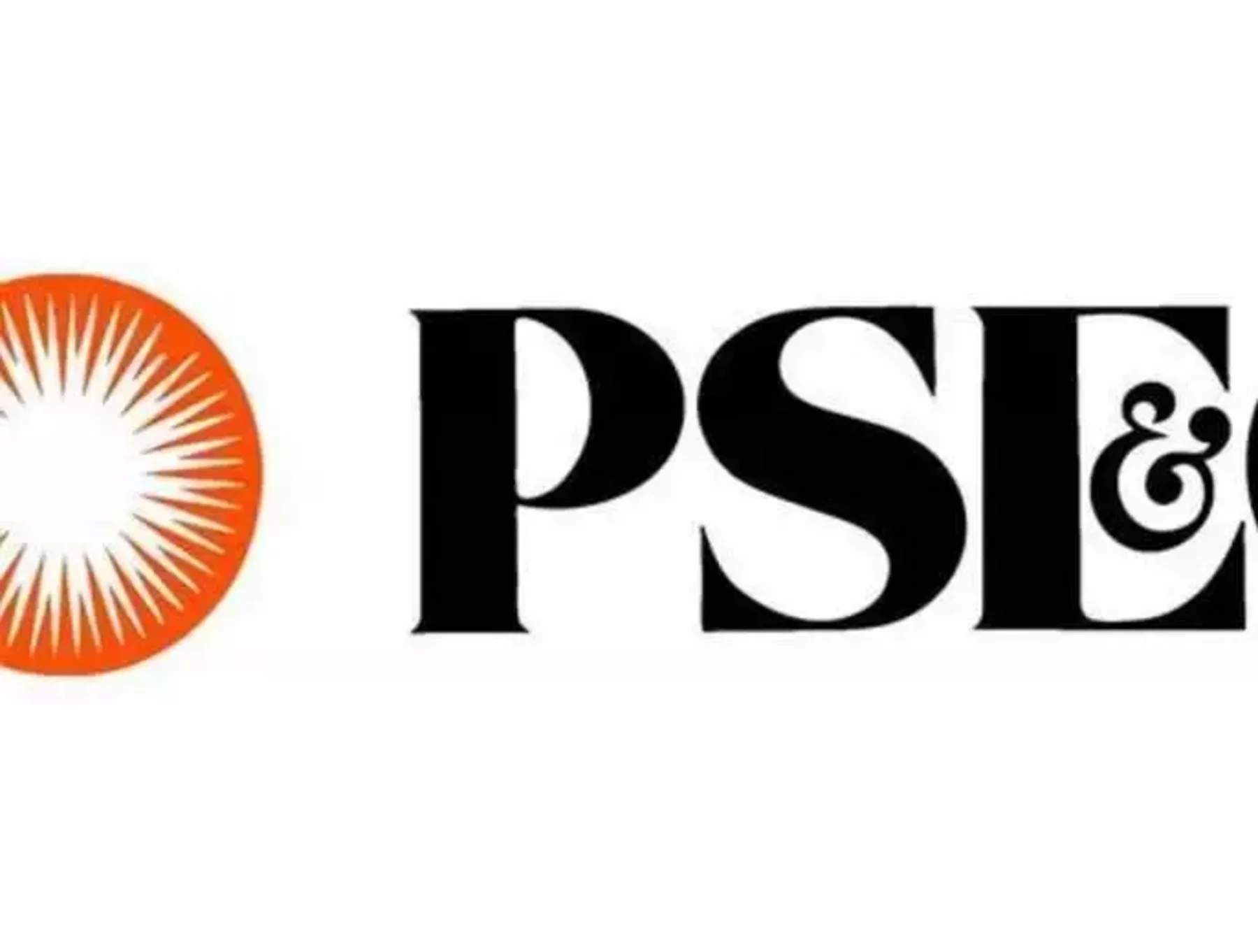 Who is Brian Clark, new VP of Procurement at PSEG? | Supply Chain Magazine