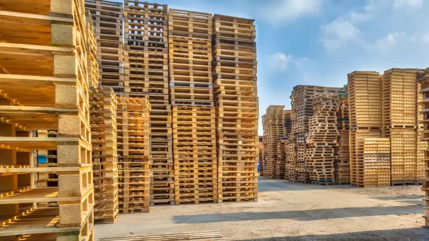 Pallets The Hidden Linchpin of the Supply Chain Supply Chain Magazine