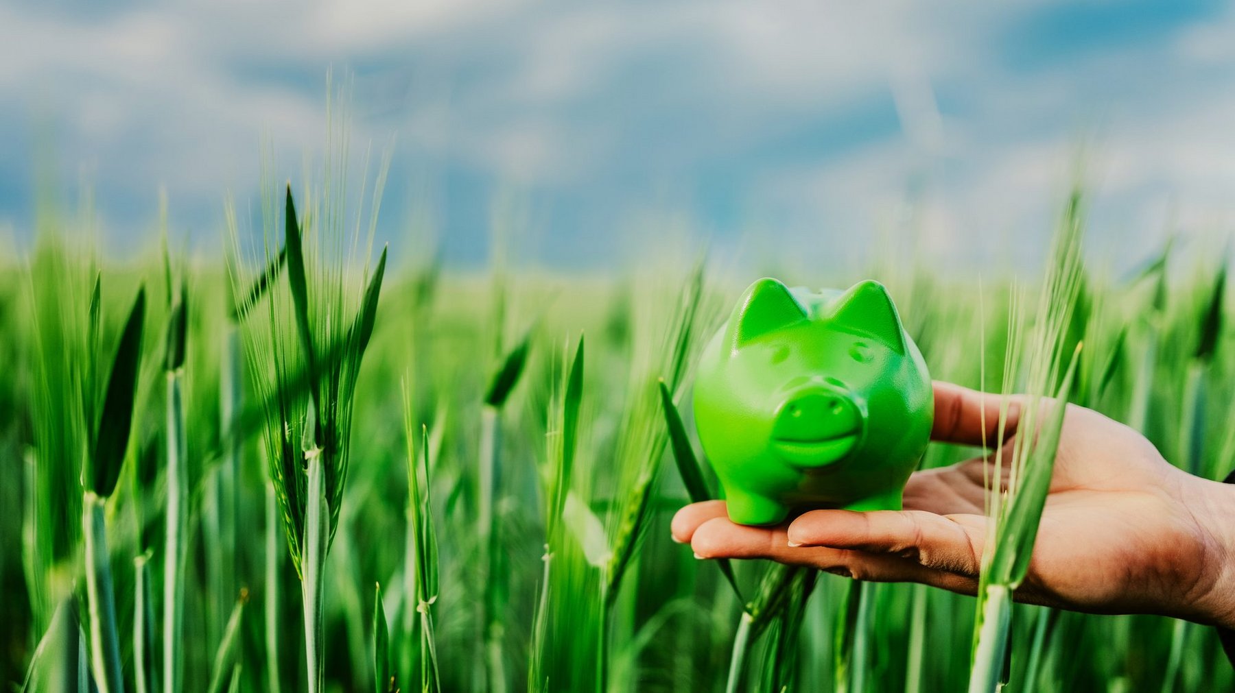 Top 10 Impact Investment Managers Making Sustainable Change 